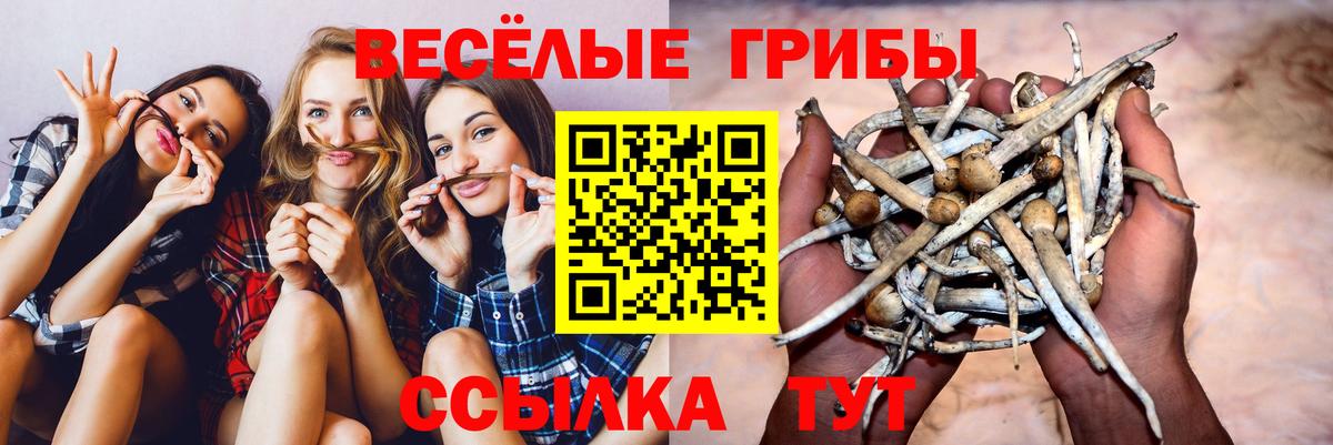 Псилоцибиновые грибы мицелий  Вход с VPN  Ухта  Галлюциногенные грибы прущие грибы 