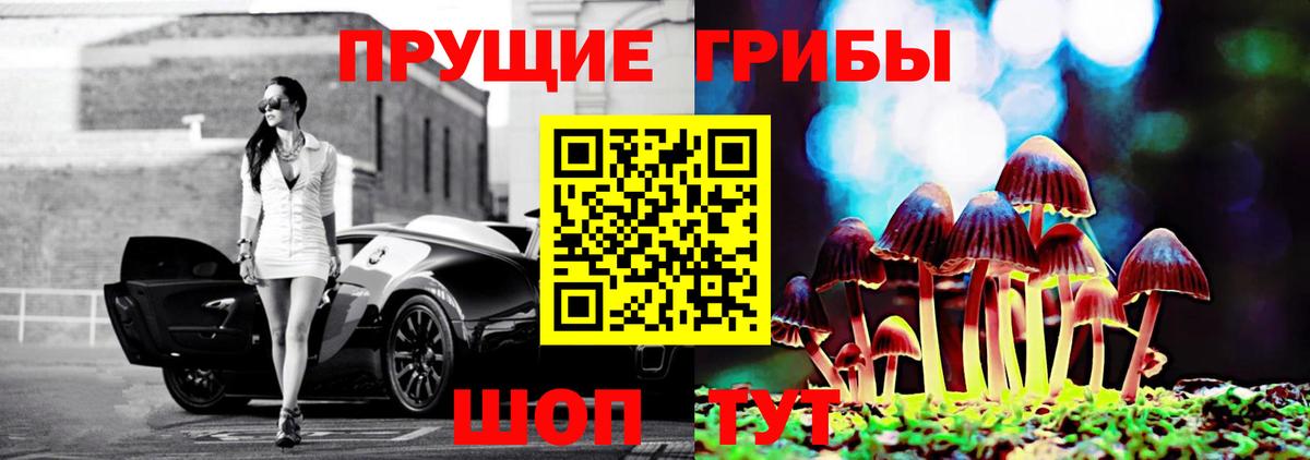 Галлюциногенные грибы Psilocybine cubensis Ухта