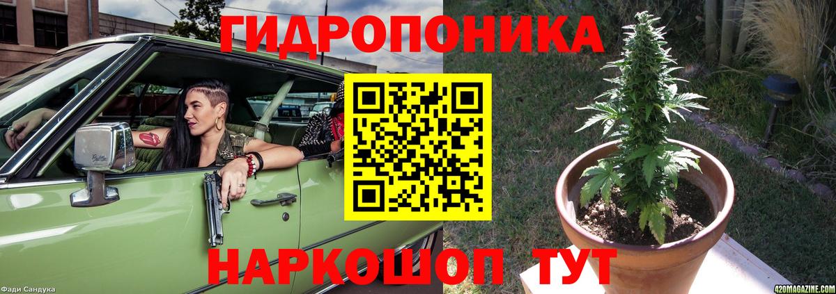 Конопля THC 21%  Вход с VPN  Бошки Шишки White Widow  Ухта 